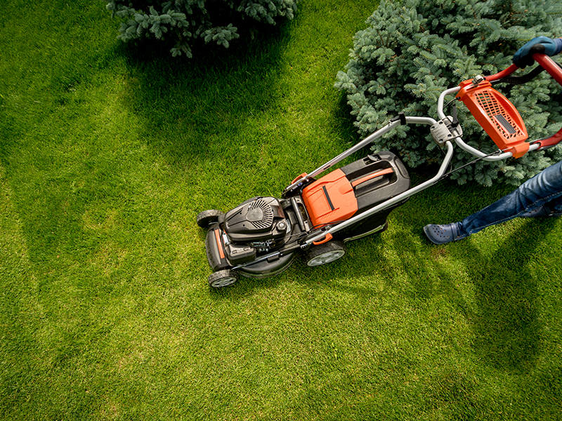 Image of landscaping or construction projects